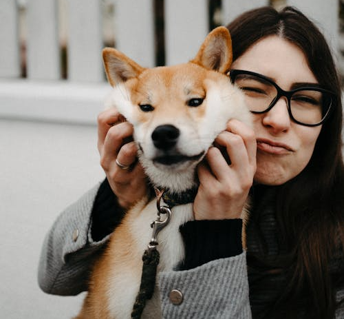 El Impacto Emocional de las Interacciones con Perros