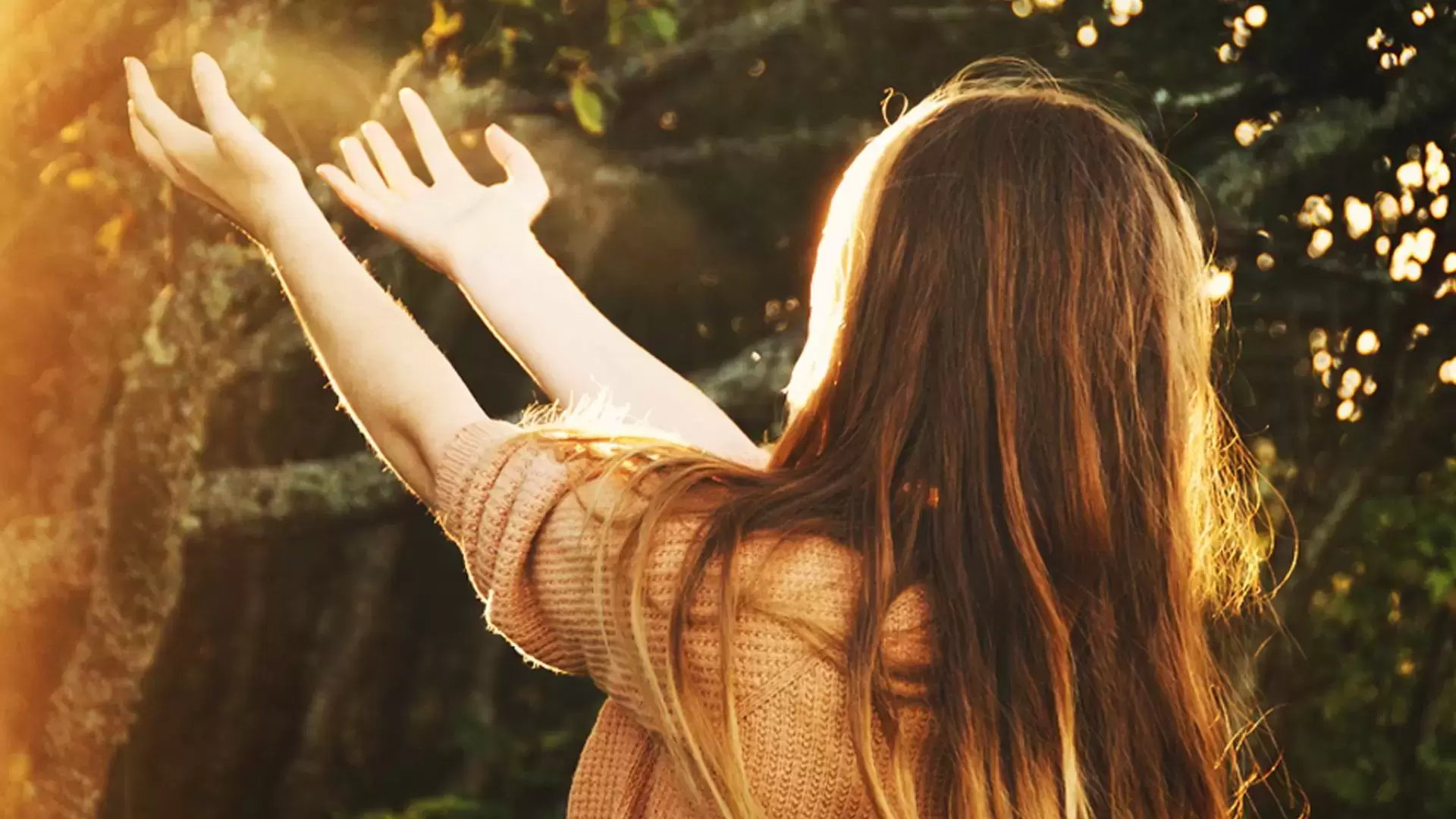 Somos luz y energia
