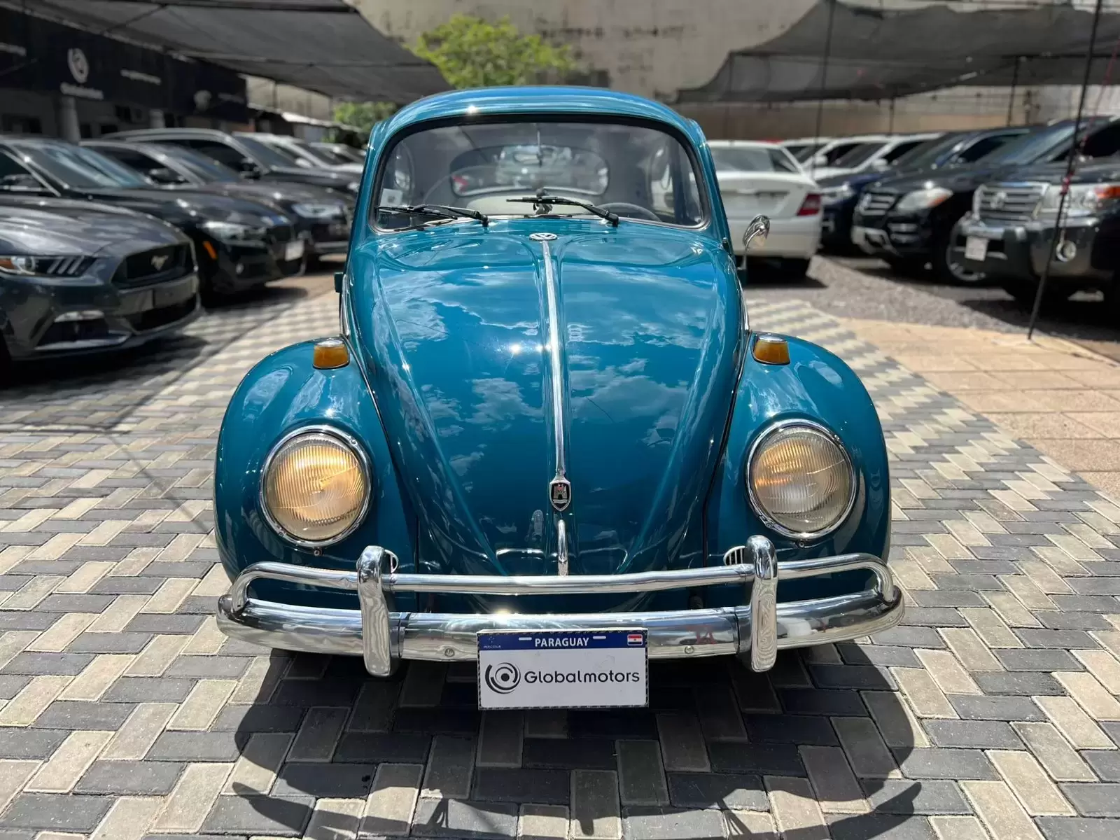 Volkswagen Escarabajo Clásico 1966 en Globalmotors - Asunción, Paraguay - Imagen 2