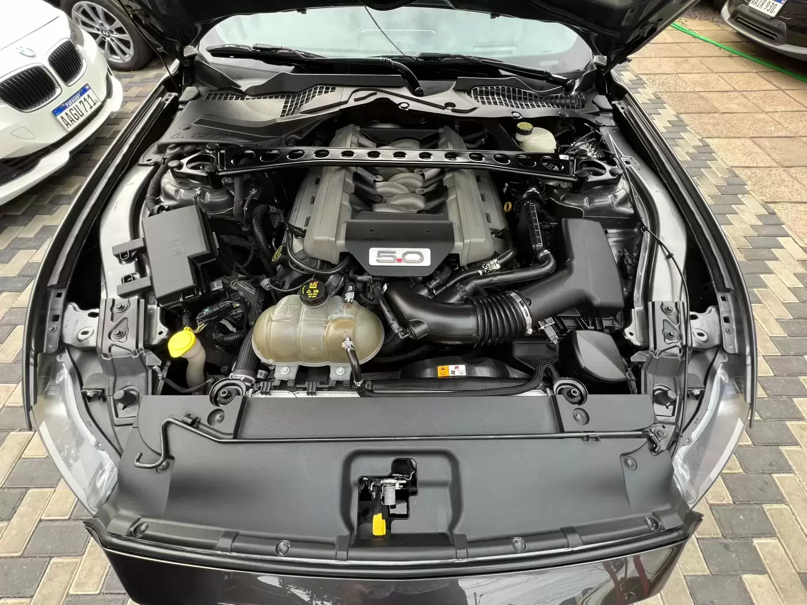 Ford Mustang GT Full 2017 en Globalmotors: Potencia y estilo icónico. - Imagen 22