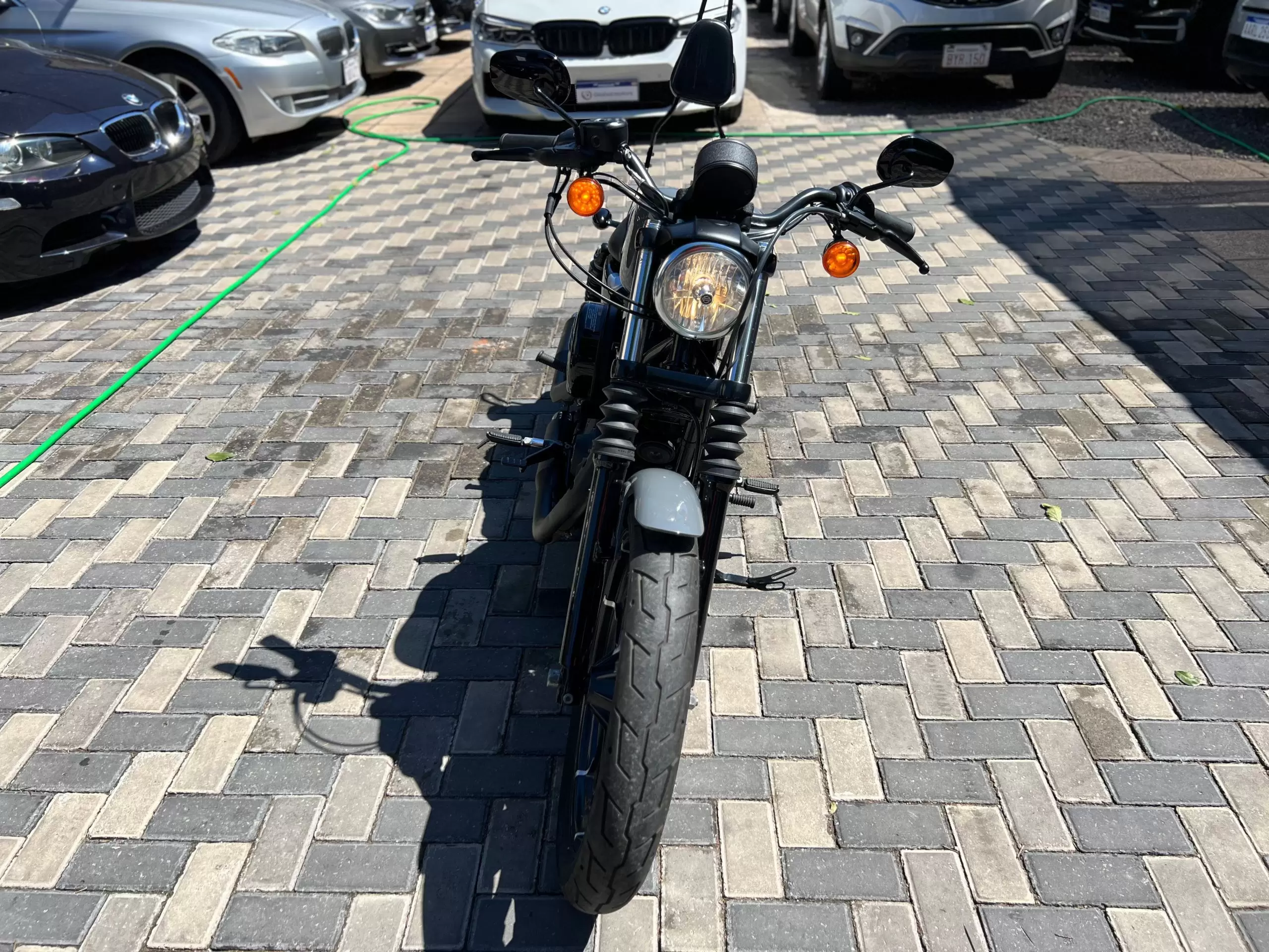 Harley Davidson Iron XL883 2022 en Globalmotors: ¡Descubre la potencia! - Imagen 2