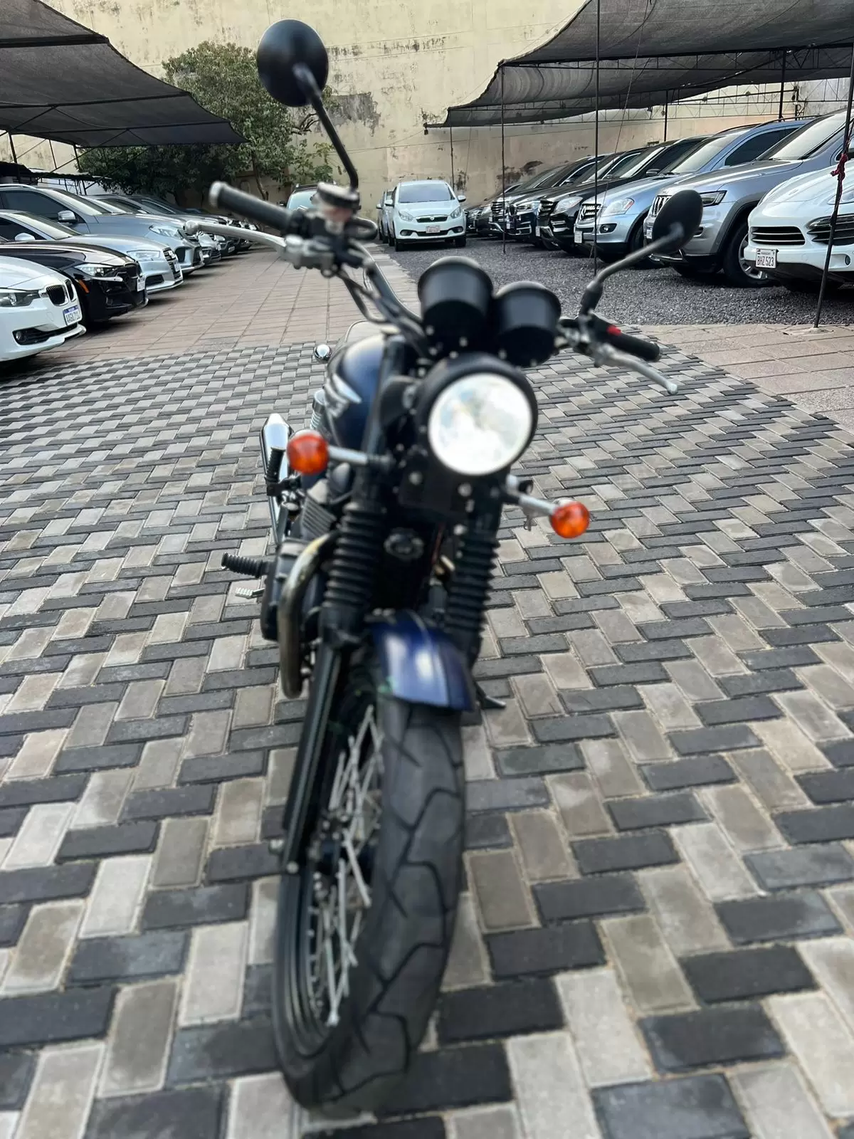 Triumph Scrambler 2016 en Globalmotors: Aventura sobre dos ruedas icónica. - Imagen 2