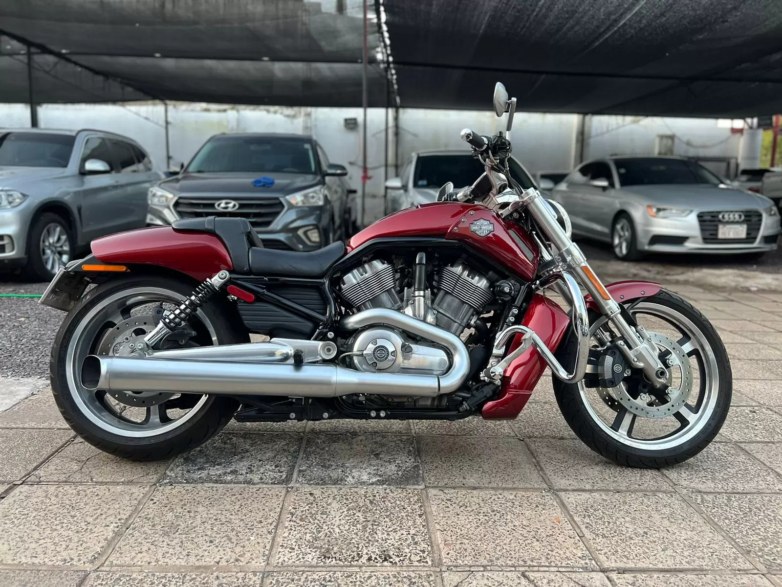 Harley Davidson Vrod Muscle 2009 en Globalmotors: ¡Potencia y estilo! - Imagen 4