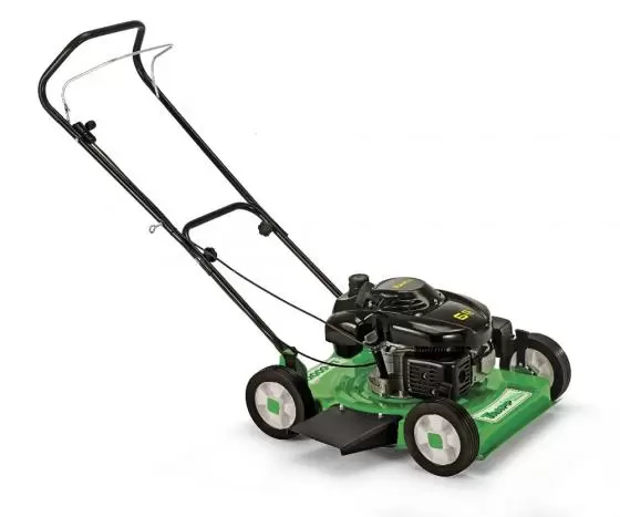 Cortacésped Trapp LF-600G Nafta 6.5HP sin bolsa - Nuevo