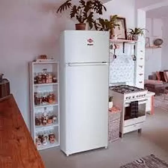 Heladera Tokyo Mod Magna 300 Frío Húmedo 2 Puertas Blanca - Imagen 3