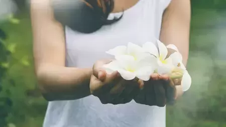 Descubre y protege tu corazón.