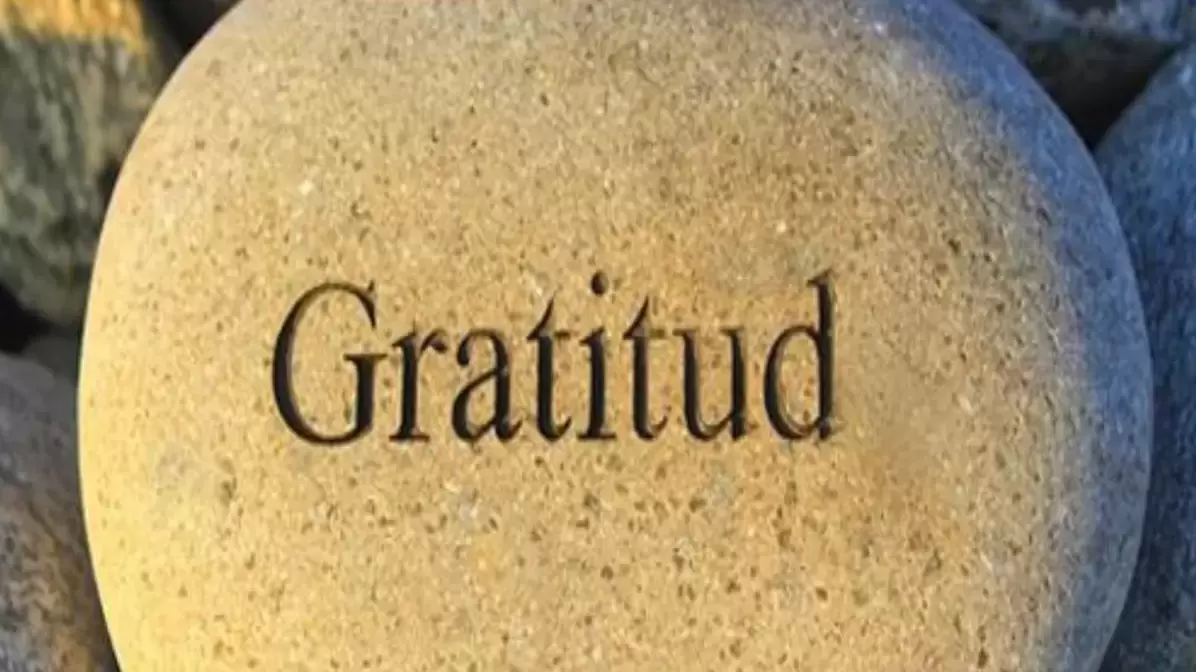 Cultiva la Gratitud y el Amor
