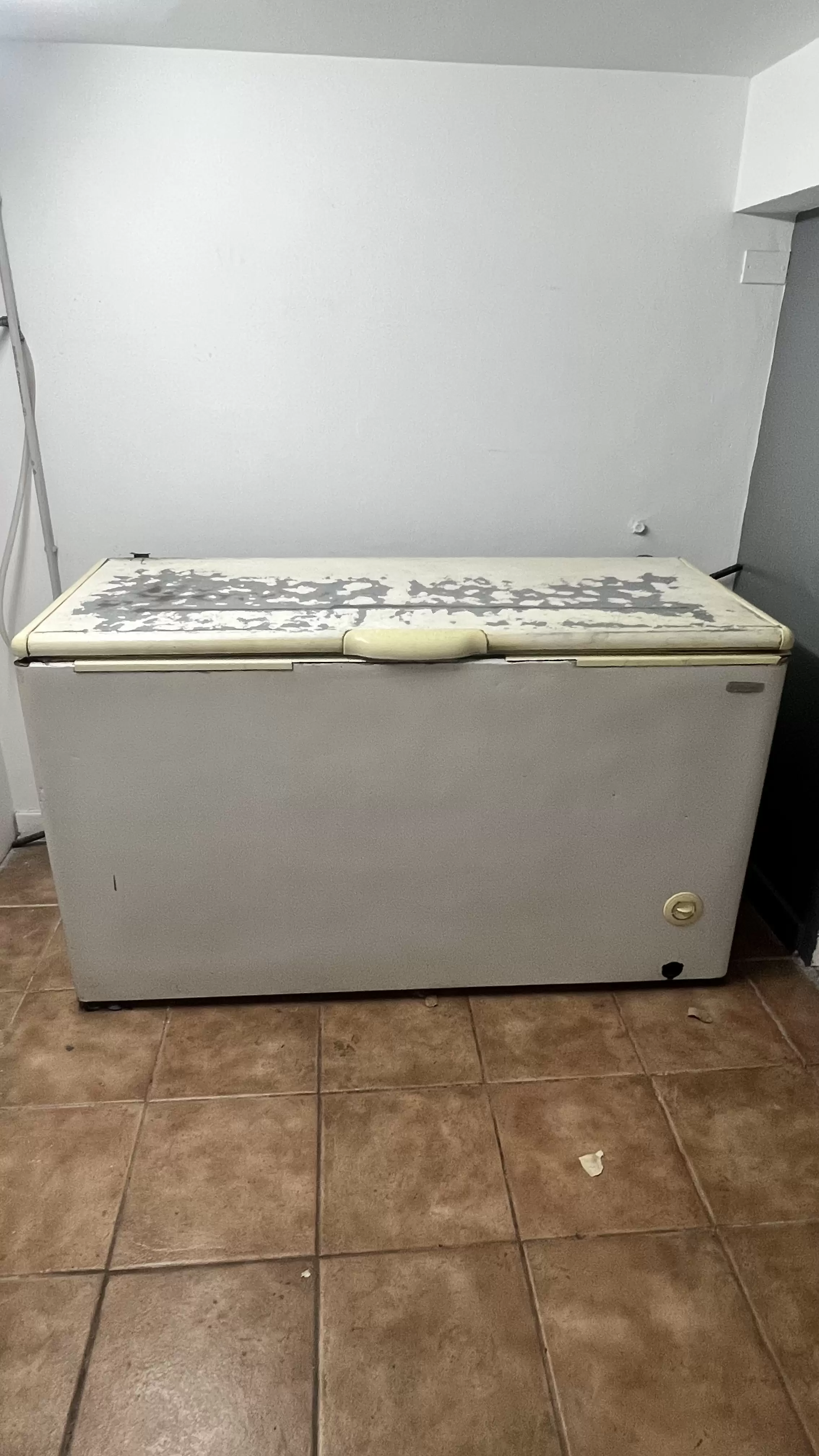 Freezer Horizontal Usado en Buen Estado, Ideal para Congelados