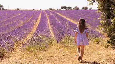 Libérate del rencor y se tu mejor versión