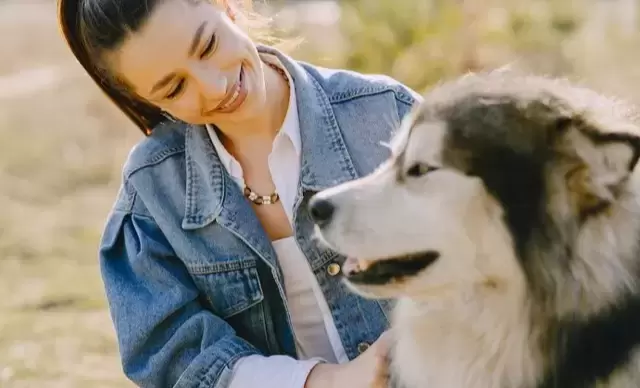 The Essence of Happiness in Life