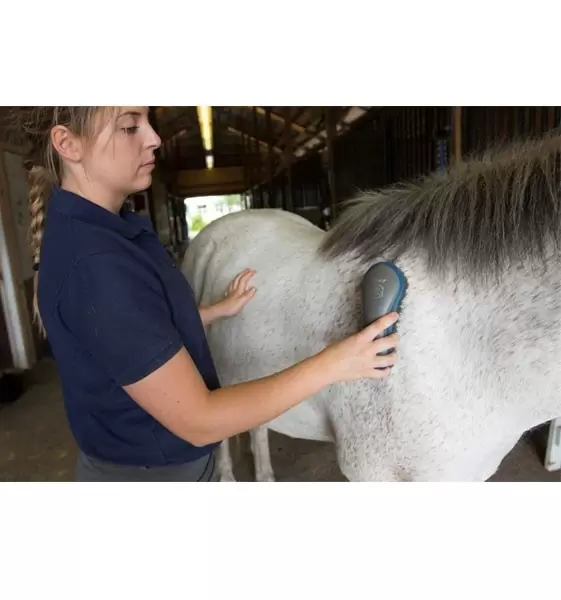 Kit de Aseo para Caballos Oster® - 7 Piezas Azul