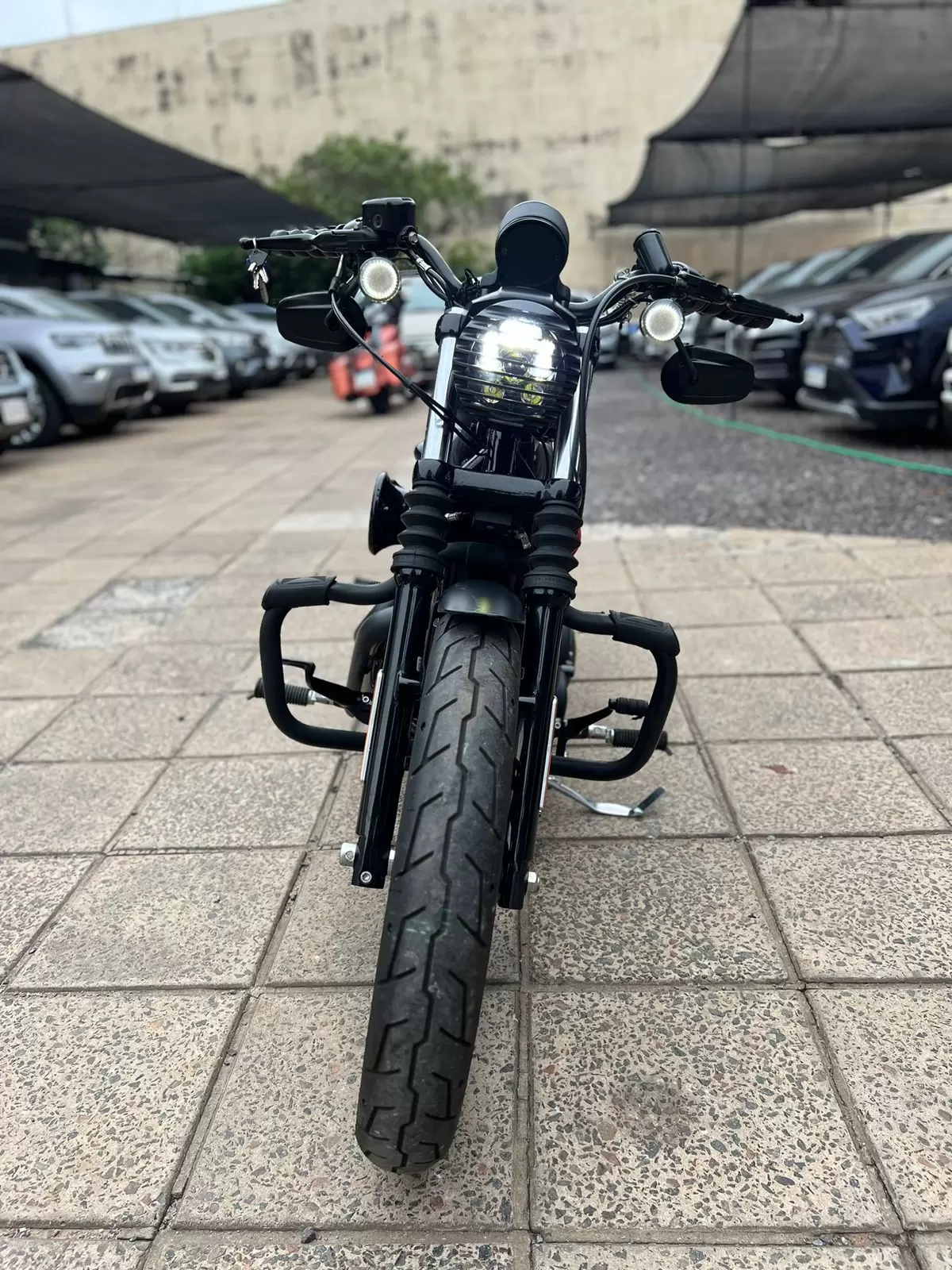 Harley Davidson Sportster Iron 2019 en Globalmotors: ¡Libertad en la carretera!
