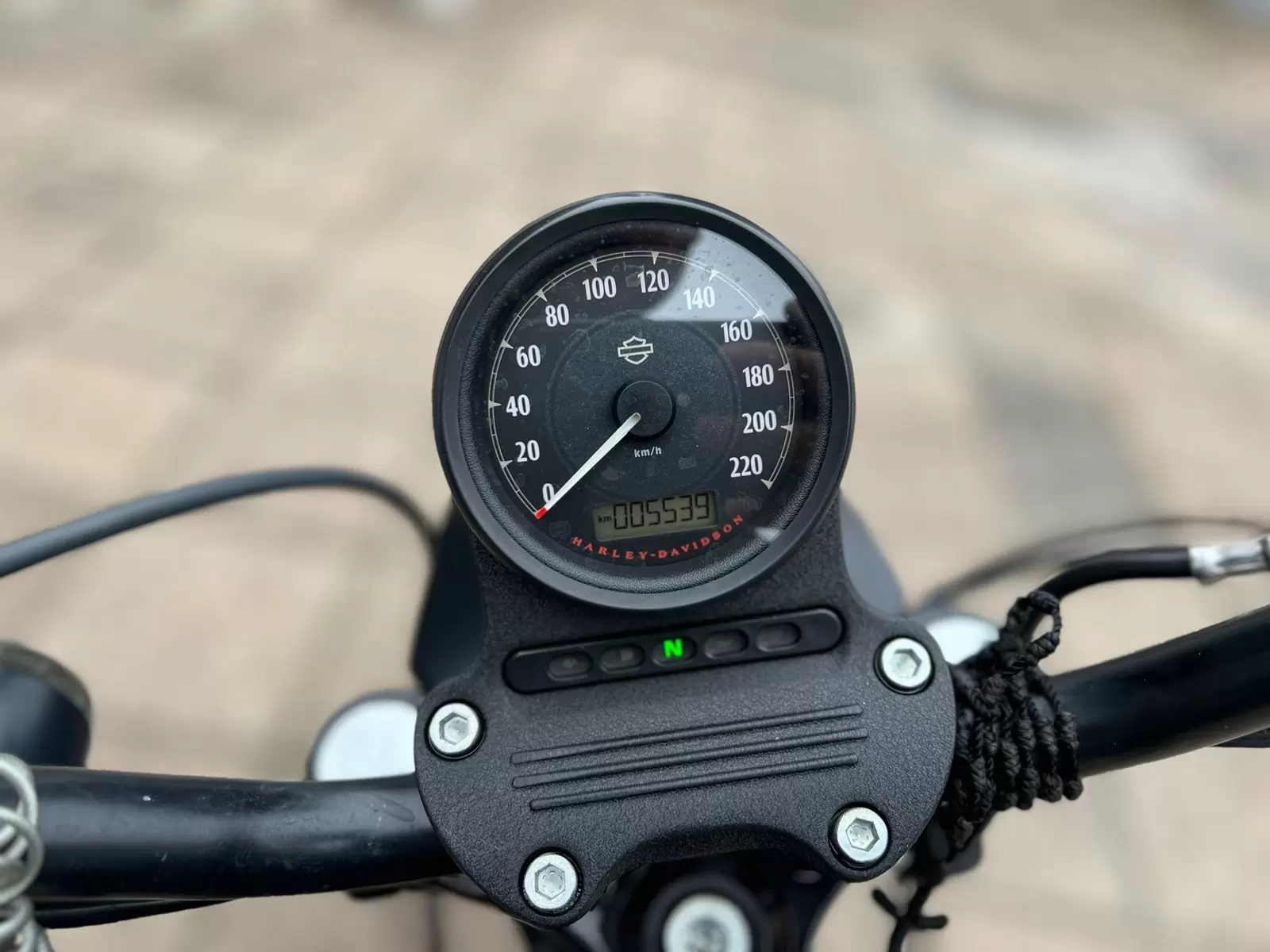 Harley Davidson Sportster Iron 2019 en Globalmotors: ¡Libertad en la carretera!