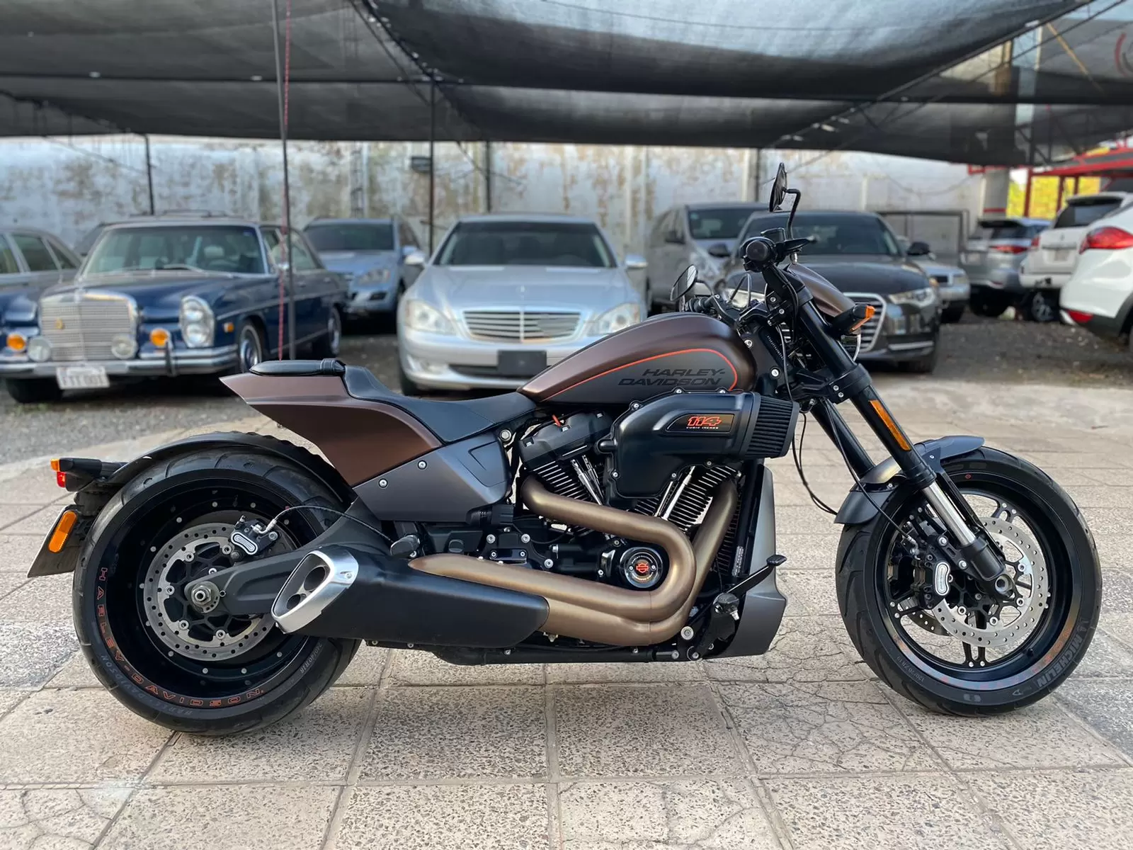 Harley Davidson Softail FXDR 2019 en Globalmotors: Potencia y elegancia.