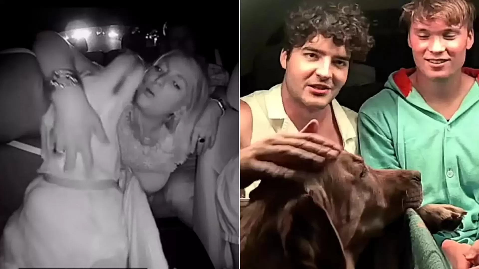 Bowie el perro copiloto