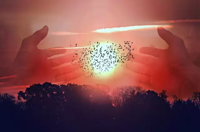 Heavenly Bonds: The Grace of Fraternal Connections