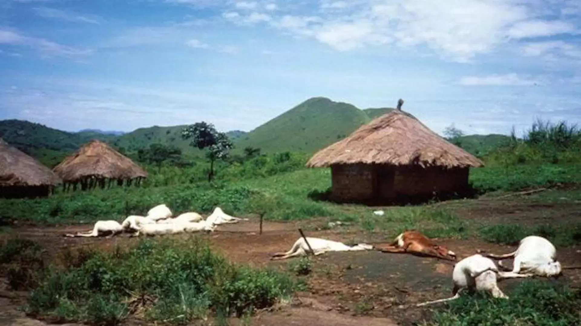 La tragedia del lago Nyos en Camerún: cuando un veneno invisible asfixió a miles de personas y animales en un instante de terror.