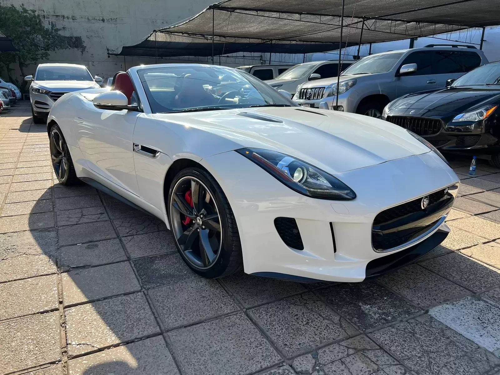 Jaguar F-Type Convertible Full 2014 en Globalmotors: lujo y potencia.