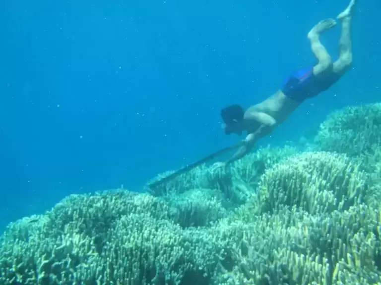 Los Bajau: Guardianes del Mar y del Misterio Genético