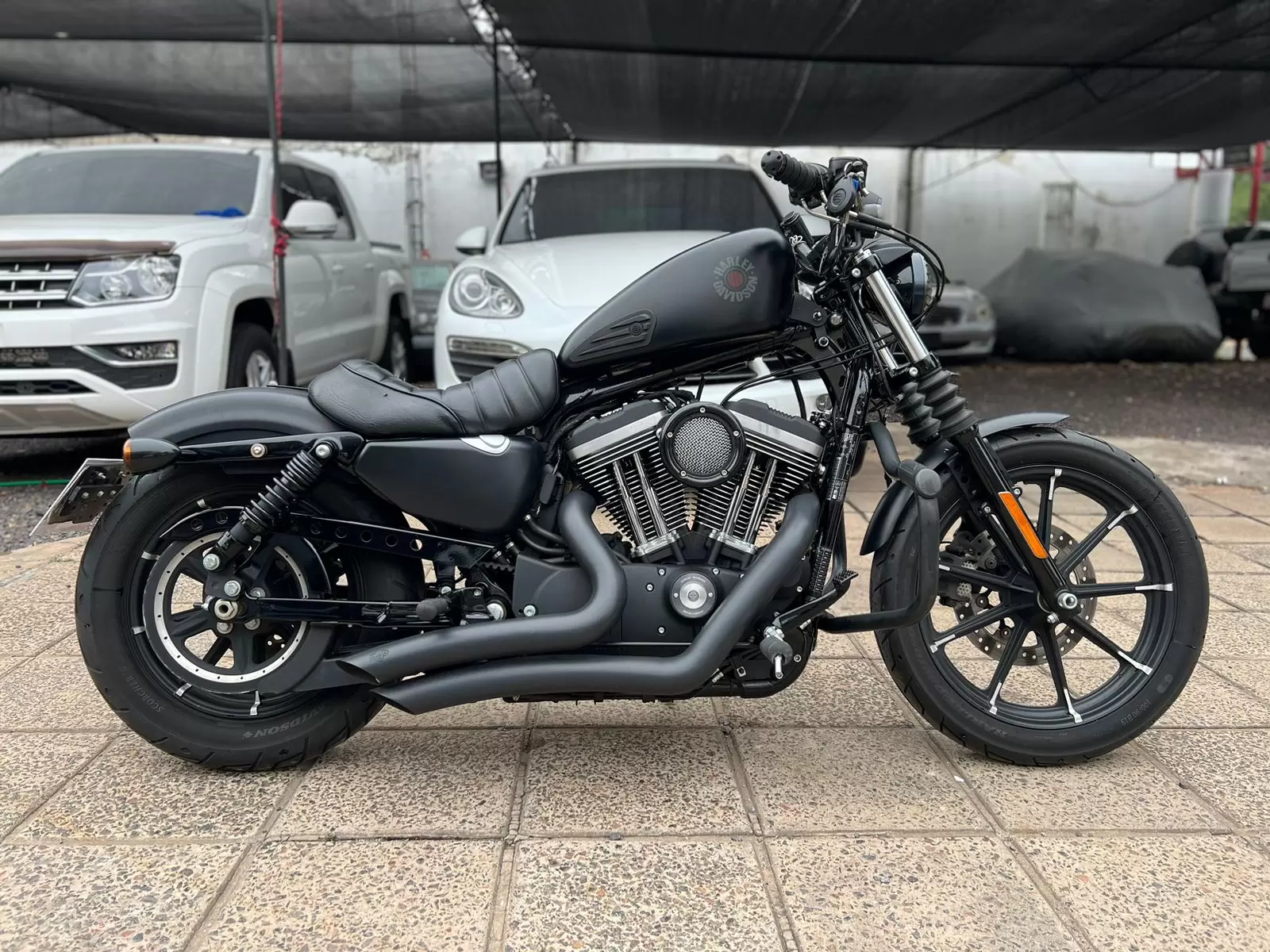 Harley Davidson Sportster Iron 2019 en Globalmotors: ¡Libertad en la carretera!