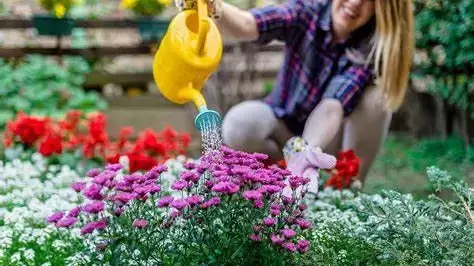 Reencuéntrate contigo misma