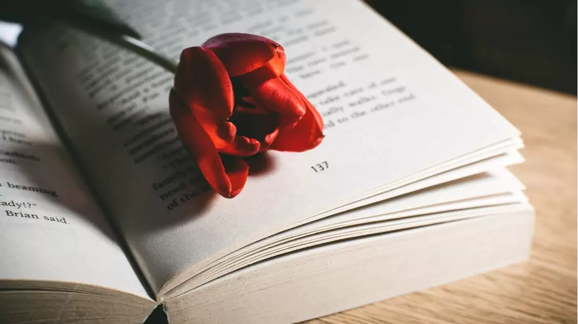 Aprende a valorar y amar a quienes te rodean