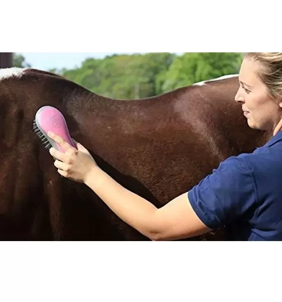 Kit de Aseo Rosa para Caballos - 7 Piezas Oster